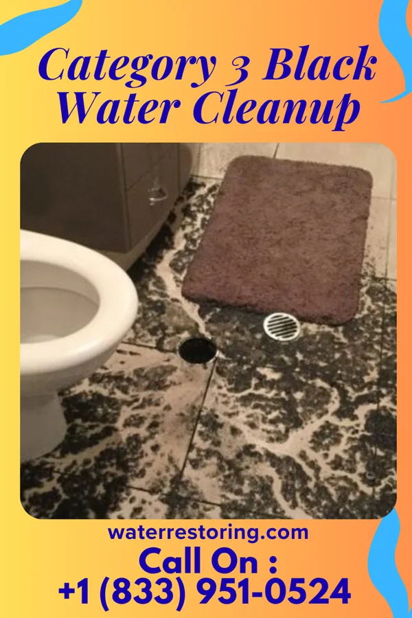 Category 3 Black Water Cleanup in Nashville, GA